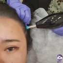 퀸플라즈마