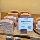 푸른 바다를 지켜줘, 바다 비누 만들기 | 🛍️ 나트랑 핸드메이드 기념품: 특별한 친구 선물 &amp; 감성 쇼핑 아이템 추천