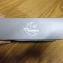 무니스(moonies)