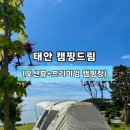 공지] 태안 캠핑드림 | 프리미엄 캠핑장, 명당 추천, 사이트 리뷰, 해루질, 오션뷰, 선셋뷰, A10 솔직 후기