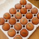 등고개2 이미지