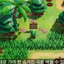 꿈꾸는 섬 티스토리