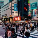 일본어 쌩초보 아이돌, 200동사로 말문 터뜨리기 (1) | 평생교육바우처일본어배우기 사용처 확인하고 일어 회화 마스터하기!