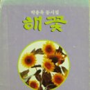 대성문화출판사 데일리안