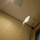 바나나포켓볼클럽 | 26년 8월 휴가 일기 - 꼭 어딜 가야 휴가인가요?