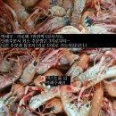 5월26일 : 생선바구니 (민어, 갈전갱이,다금바리,성대, 금테, 모듬바구니등) 이미지