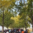 (주)나무그룹 | 아산 은행나무길 마라톤 10km 첫 도전 완주 후기