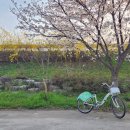 거창생태공원 화장실 이미지