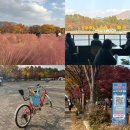 경주축구공원주차장 | 미사경정공원 핑크뮬리 단풍 자전거 주차