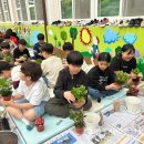 영일초등학교 이미지