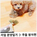 계절의기억 | 새로운 가족을 만난 따뜻한 계절의 기억