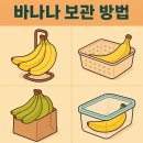 바나나 보관 방법 총정리! 오래 보관하는 꿀팁 5가지 이미지