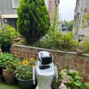 하가정원유치원 이미지