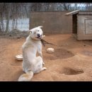 쪽빛나라 이미지