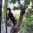 버블웨이셀프세차장 이미지