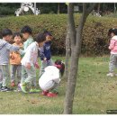 목감퍼스트어린이집 이미지