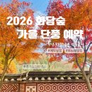 11545-03-10-16 | 2026 화담숲 단풍 예약 9월 16일 오픈! 예매 일정, 모노레일 예약 팁, 작년 방문후기