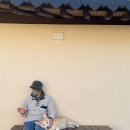 메종드시고르 이미지