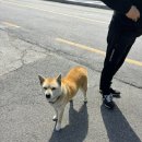 구루맘마 이미지