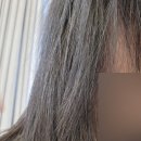이쁘다헤어신