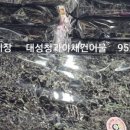 대성야채청과 이미지