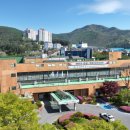 강원특별자치도교통약자광역이동지원센터 이미지