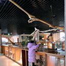 안면도쥬라기박물관 이미지