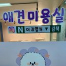 더 귀엽개 이미지