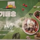 샐피약사점