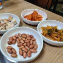 예향양꼬치