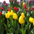 명인 행정사 이미지