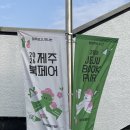 그림책 꽃 피었네 | 2026 제주북페어 후기 {묵호출판사}