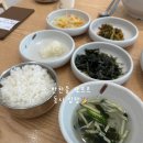다복PC | 디얼지니 / 목포 다복식당 : 쭈꾸미볶음 맛집