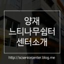 양재느티나무쉼터 이미지