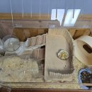 로던트클럽 강서마곡점 이미지