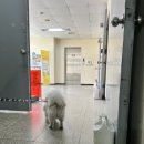 딥잉 산본점 이미지