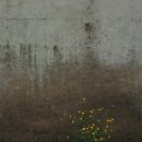서예(Ⅰ) 이미지