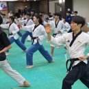 도원결의태권도 네이버블로그