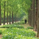 오리 어린이공원 이미지