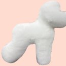 댕댕미용 이미지