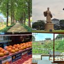 전막교차로 | 공주 여행 1박2일 2일차｜어사또 메타세콰이어길 베이커리 밤마을