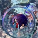[삼성] 서울 아이랑 실내 가볼만한 곳코엑스 아쿠아리움(SEA LIFE) 리뉴얼 후기