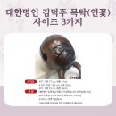 영천불교사
