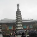 하동길사거리 | [섬진강*쌍계사*화개장터*최참판[