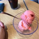 수완종합 동물병원 이미지