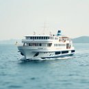 차수학완도스마트 | 완도 제주도 배편 내 차와 함께 떠나는 낭만 가득한 바다 여행 후기