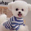 나래네