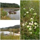 고지소류지 이미지