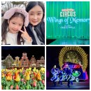 삼성알프레드음악학원 | 아이와 에버랜드 튤립축제, 사파리 자리, 서커스 윙즈 오브 메모리 공연 후기, 발레파킹 주차
