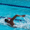 어푸어푸 이미지